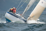 prime cut gbr309 whyw16 thur 800 4767w